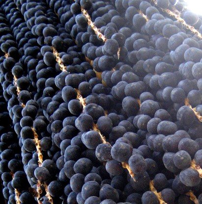 Imagem da fruta Açaí