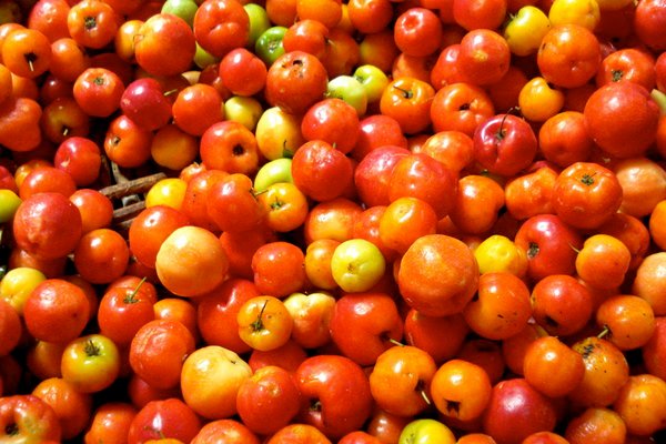 Imagem da fruta Acerola