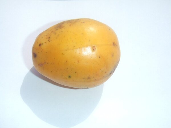 Imagem da fruta Cajá-mirim