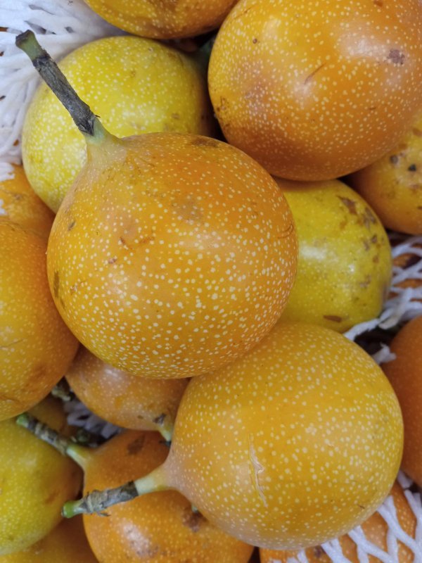 Imagem da fruta Granadilla