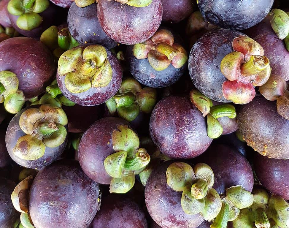 Imagem da fruta Mangostão