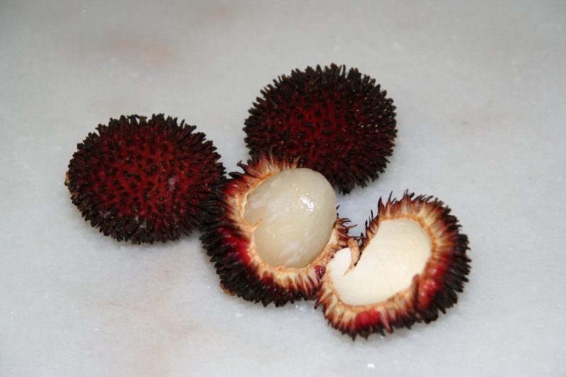 Imagem da fruta Pulasan