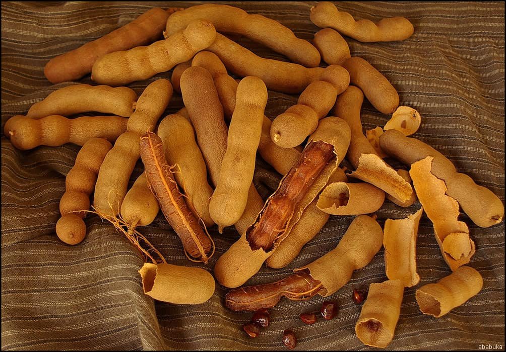 Imagem da fruta Tamarindo