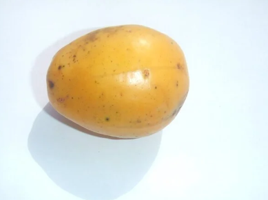 Imagem da fruta Taperebá